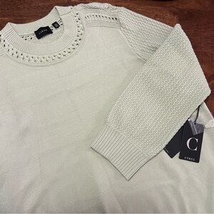NWT Cyrus Women’s Crewneck Sweater - Light Green Sage Size 2X
